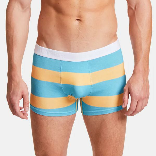 オーガニックコットン メンズボクサーパンツ TrunkShort BlockStripes