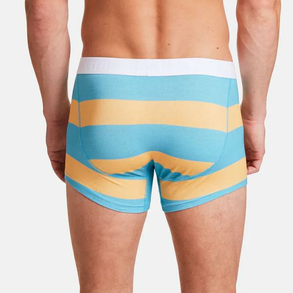 オーガニックコットン メンズボクサーパンツ TrunkShort BlockStripes