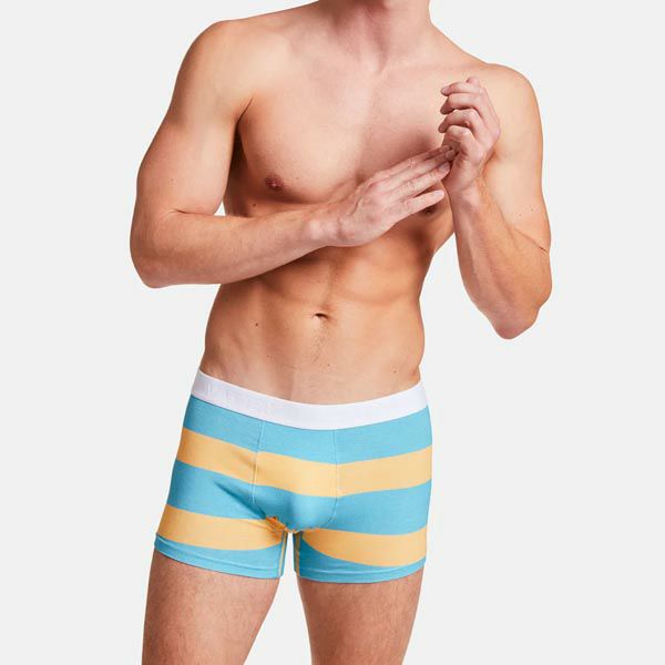 オーガニックコットン メンズボクサーパンツ TrunkShort BlockStripes