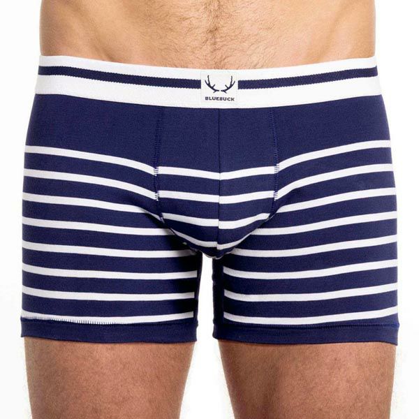 オーガニックコットン メンズボクサーパンツ BoxerBrief Stripes