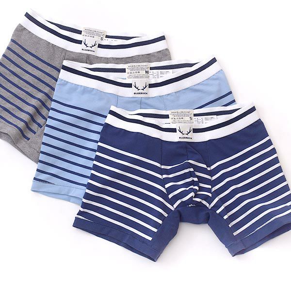 オーガニックコットン メンズボクサーパンツ BoxerBrief Stripes