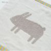 オーガニックコットン ポラリスウォッシュタオル