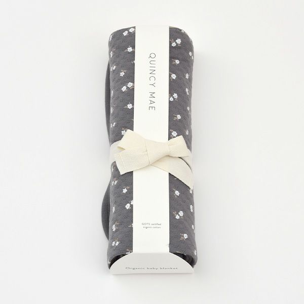 オーガニックコットン ベビーポインテル ブランケット