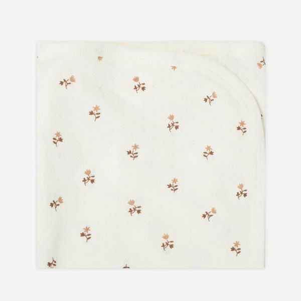 オーガニックコットン ベビーポインテル ブランケット