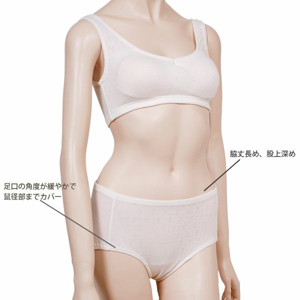 オーガニックコットン【ハニーヴァモ】すっぽりショーツ