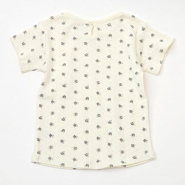 オーガニックコットン ベビーポインテル Tシャツ(半袖)