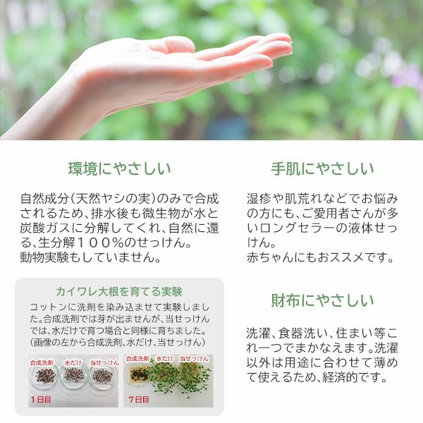 オーガニックナチュラルパームソープ 詰替用 900ML