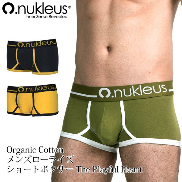 グンゼ 綿100% ボクサーパンツ 2枚セット M～LL (メンズ 下着 ボクサーブリーフ ボクサー パンツ インナー 綿 リブ 2枚組 男性)  (在庫限り)