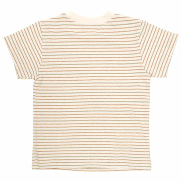 オーガニックコットン キッズ 半袖Tシャツ