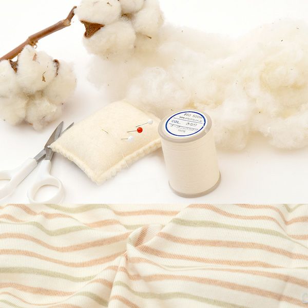 オーガニックコットン キッズ Uネック半袖Tシャツ