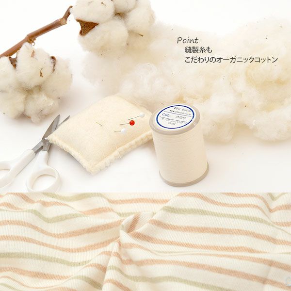 オーガニックコットン 半袖ボーダーＴシャツ