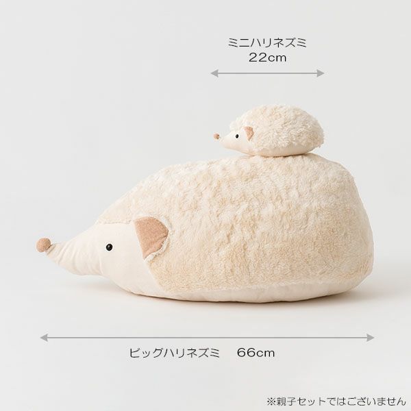 オーガニックコットン ビッグハリネズミ