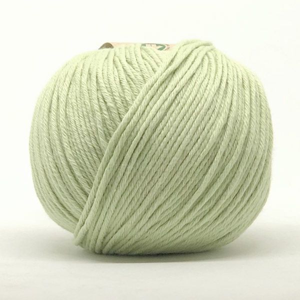 オーガニックコットン Supersoft Cotton yarn 50g Pistachio