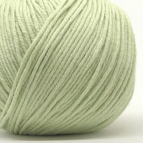 オーガニックコットン Supersoft Cotton yarn 50g Pistachio