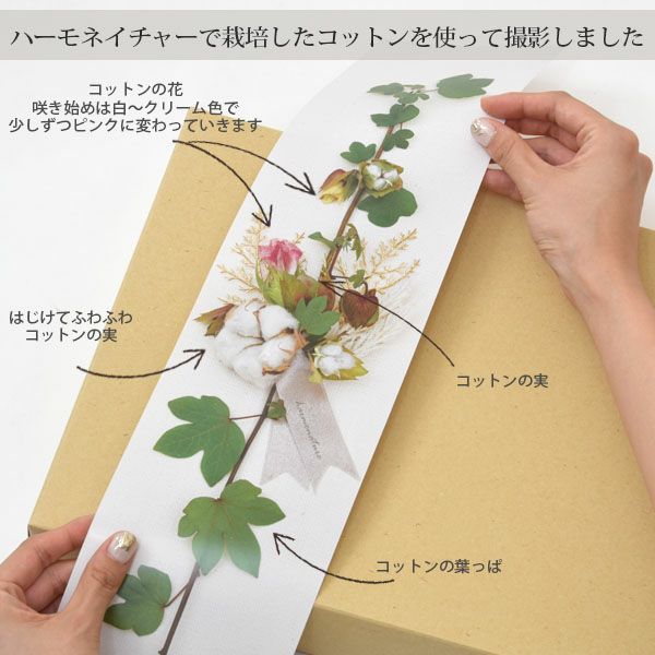 ギフトラッピング クラフトボックス Natural