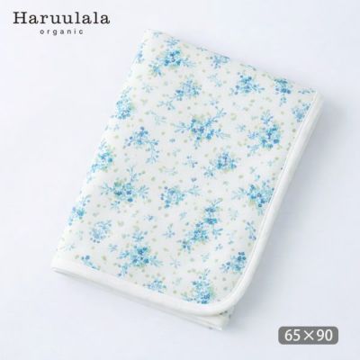 オーガニックコットン ブランケット ヒカリエ