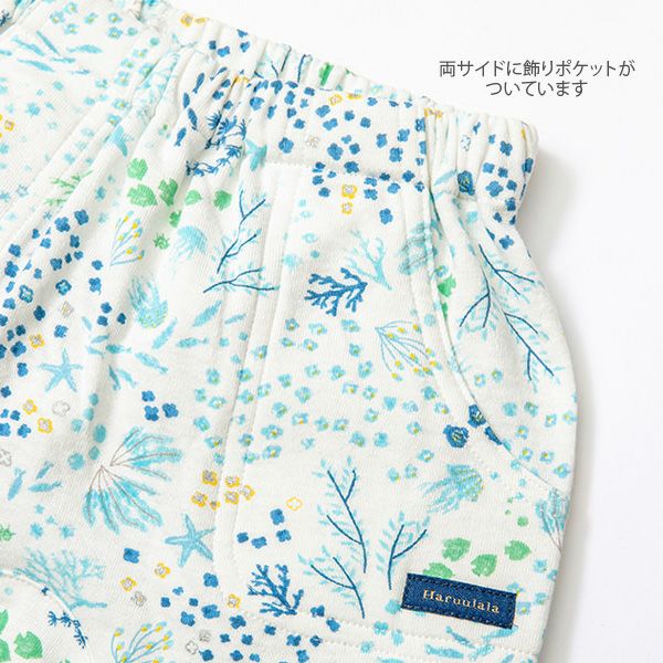 オーガニックコットン ベビーファーストパンツ（ショート） アンダーザシー