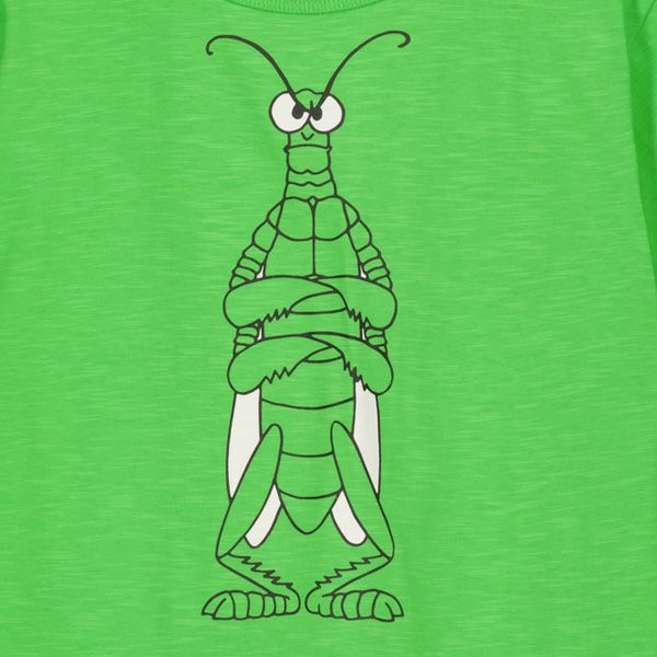 オーガニックコットン キッズＴシャツ Hopper