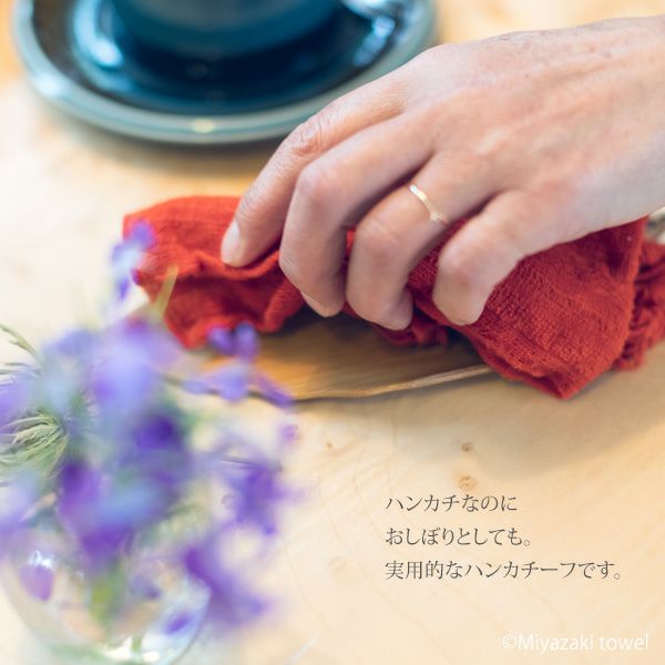オーガニックコットン 今治ハンカチーフ