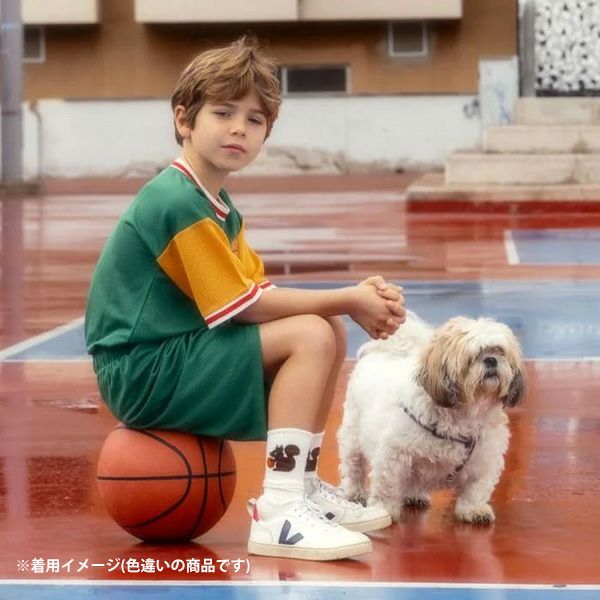 オーガニックコットン キッズソックスSUPER SPORTY3足組