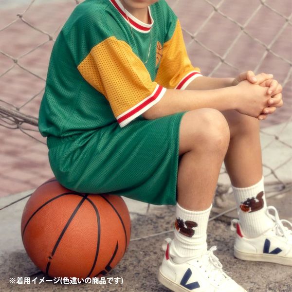 オーガニックコットン キッズソックスSUPER SPORTY3足組