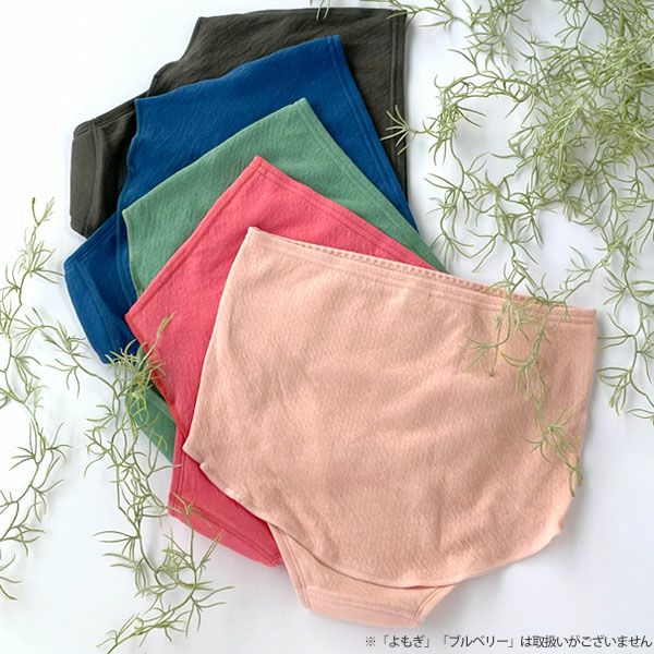 オーガニックコットン Botanical Warm Wear 腹巻き付きショーツ