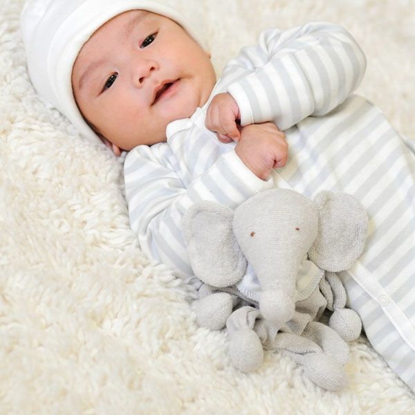 オーガニックコットン ぬいぐるみ Elephant