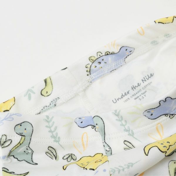 オーガニックコットン キッズボクサーパンツ Dino