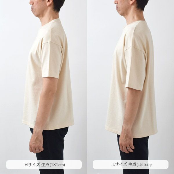 オーガニックコットン ベーシック Tシャツ HW10/1