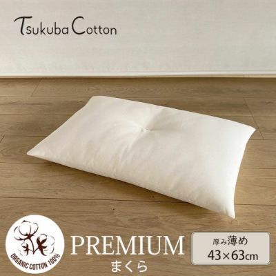 オーガニックコットン プレミアム まくら 薄めタイプ 43×63