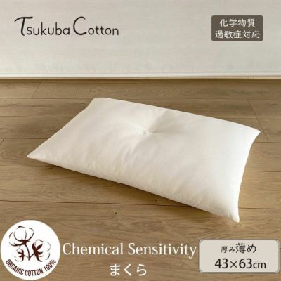 オーガニックコットン CS対応 まくら 薄めタイプ 43×63