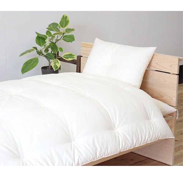 オーガニックコットン CS対応 まくら 薄めタイプ 43×63