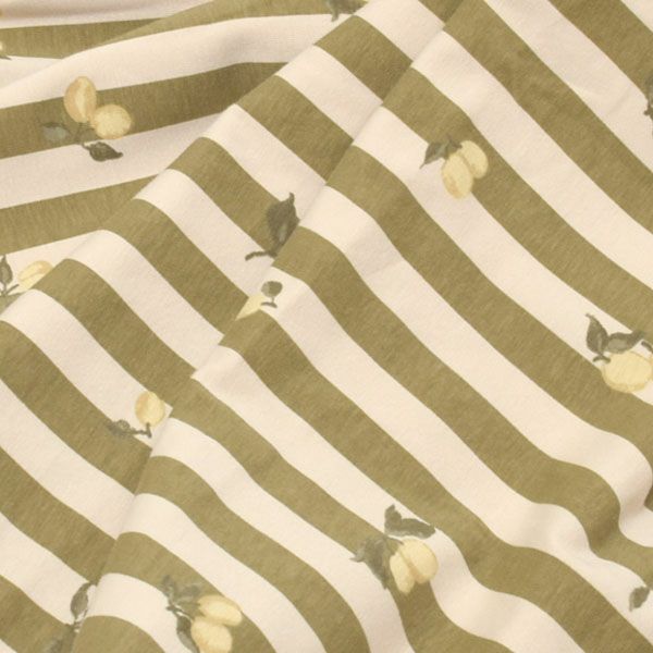 オーガニックコットン ブランケットStripe