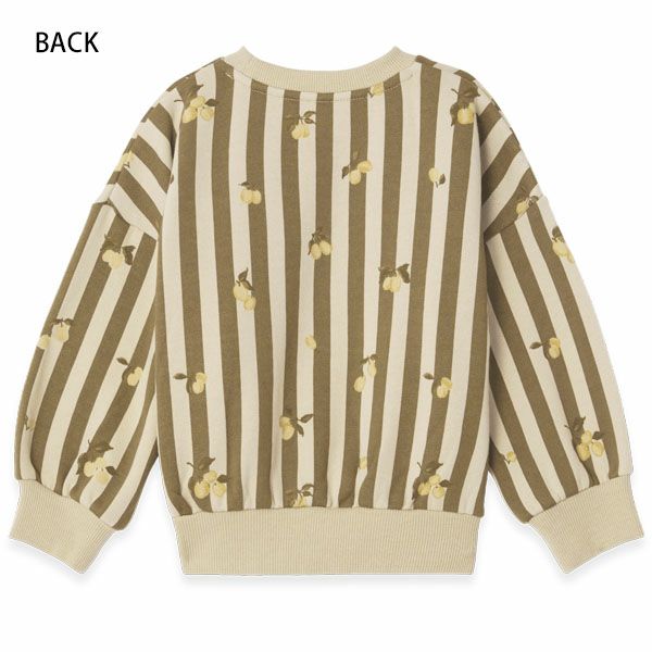 オーガニックコットン キッズ 裏起毛 スウェットシャツ Stripe