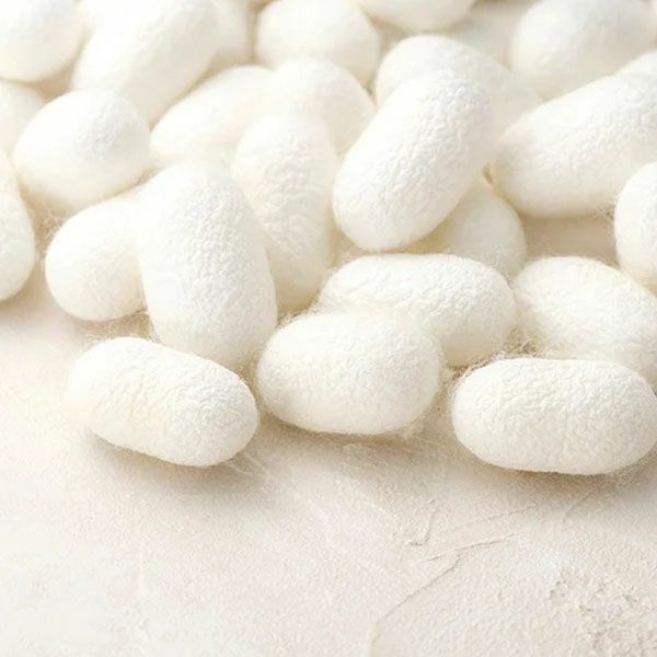 オーガニックコットン 裏シルク ネックウォーマー