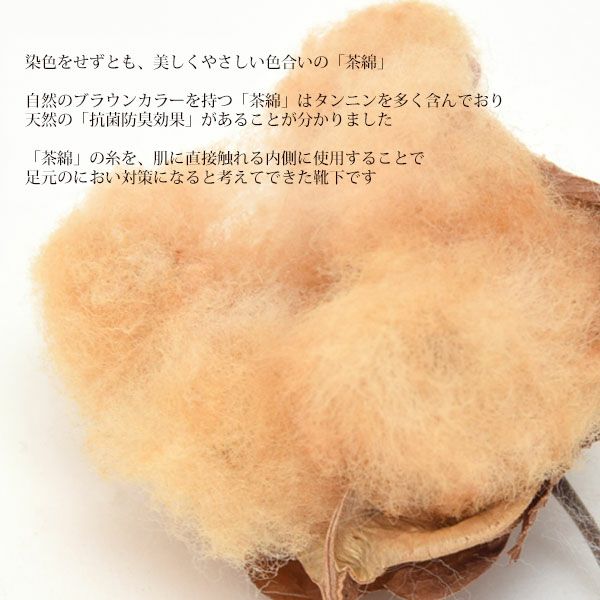 オーガニックコットン 配色ソックスMサイズ