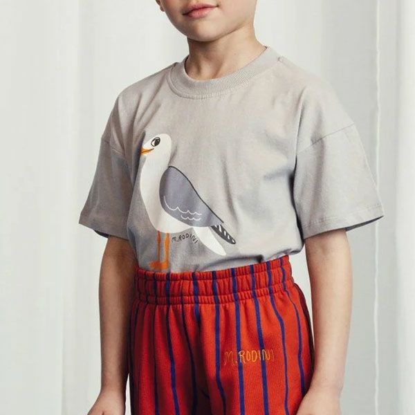 オーガニックコットン キッズTシャツSeagull