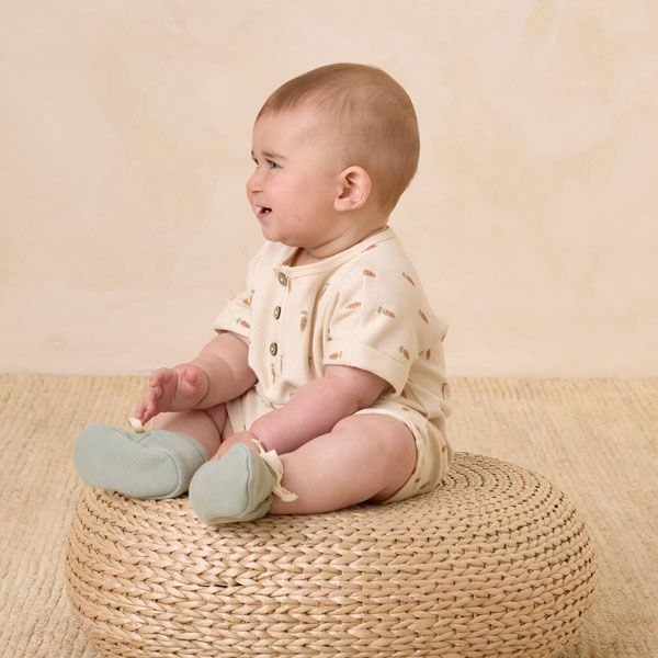 オーガニックコットン ベビーショートスリーブロンパース